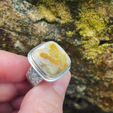 Crazy Lace Agate and Sterling Silver Ring