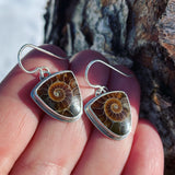 Fossilized Ammonite and Sterling Silver Earrings