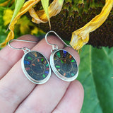 Ammonite with Ammolite Inlay and Sterling Silver Earrings