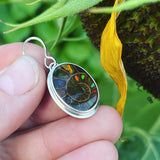 Ammonite with Ammolite Inlay and Sterling Silver Earrings