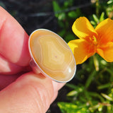 Coyomito Agate and Sterling Silver Ring