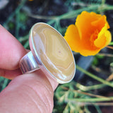 Coyomito Agate and Sterling Silver Ring