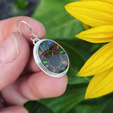 Ammonite with Ammolite Inlay and Sterling Silver Earrings