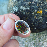 Ammonite with Ammolite Inlay and Sterling Silver Earrings