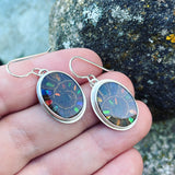 Ammonite with Ammolite Inlay and Sterling Silver Earrings