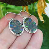 Ammonite with Ammolite Inlay and Sterling Silver Earrings