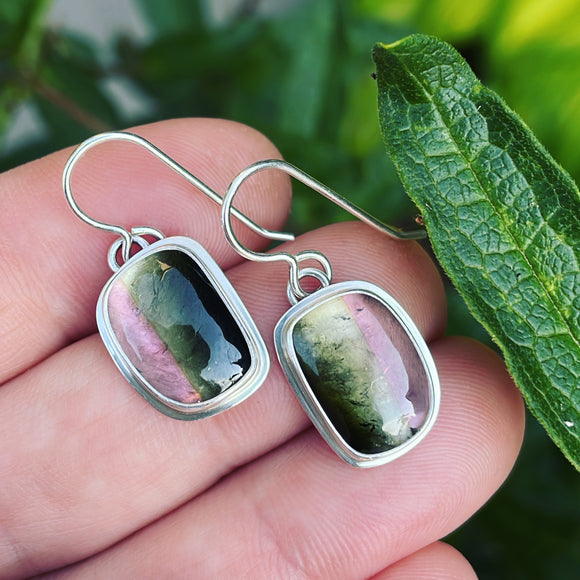 Watermelon Tourmaline and Sterling Silver Earrings