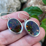 Ammonite with Ammolite Inlay and Sterling Silver Earrings