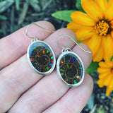 Ammonite with Ammolite Inlay and Sterling Silver Earrings