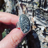Bryozoan Fossilized Coral and Sterling Silver Ring