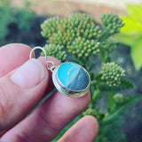 Indonesian Opalized Wood and Sterling Silver Earrings