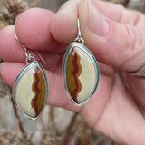 Owyhee Canyon Jasper and Sterling Silver Earrings