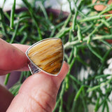 Fossilized Palm Wood and Sterling Silver Ring