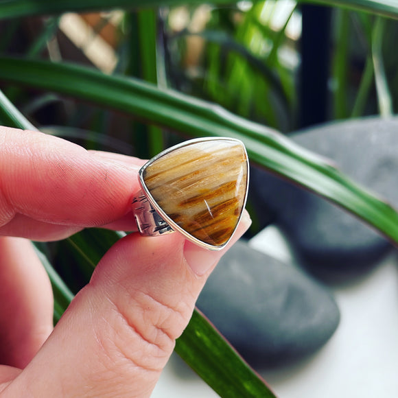 Fossilized Palm Wood and Sterling Silver Ring