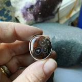 Condor Agate and Sterling Silver Ring