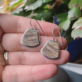 Fossil Sequoia and Sterling Silver Earrings