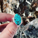Hubei turquoise and Sterling Silver Ring