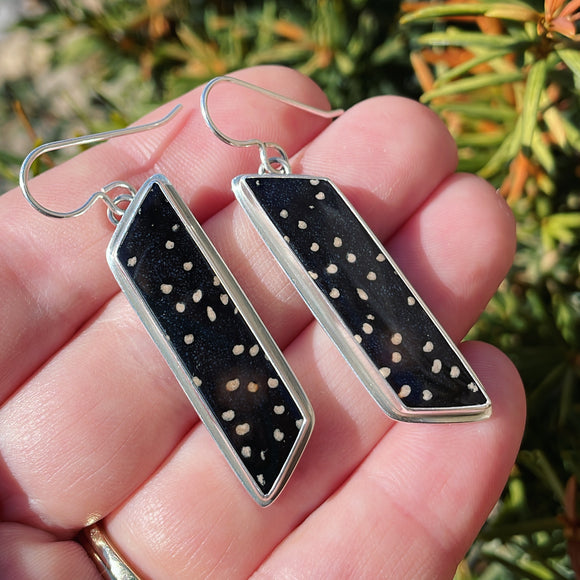 Black Fossil Palm Wood and Sterling Silver Earrings