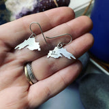 Lake Superior Dangle Earrings